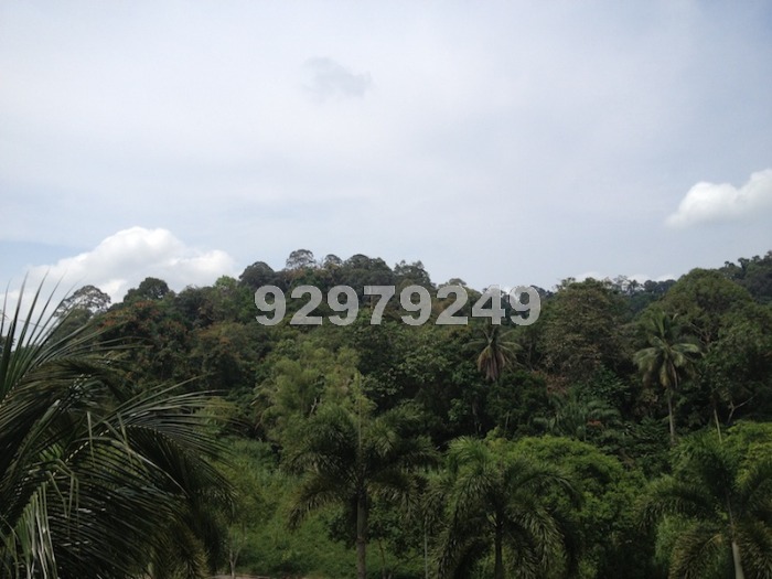 Springdale Condominium (D21), Condominium #435502